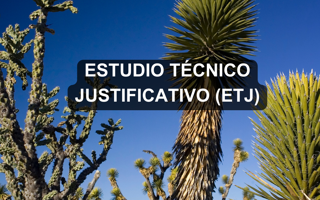 Estudio Técnico Justificativo (ETJ)