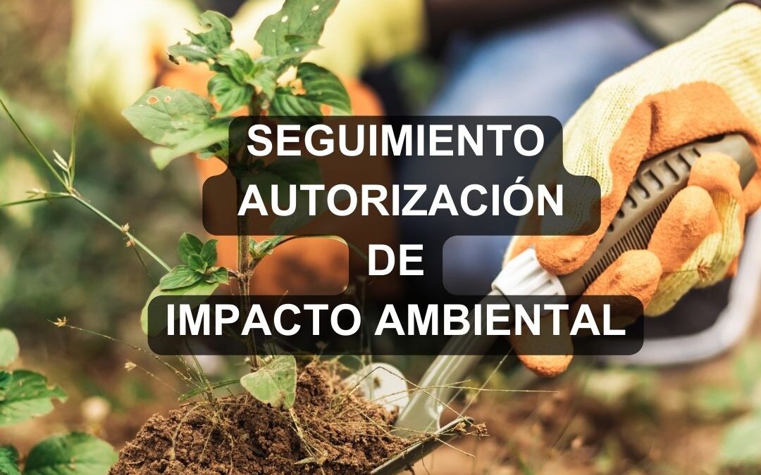 Seguimiento a condicionantes establecidas en tu autorización de Impacto Ambiental